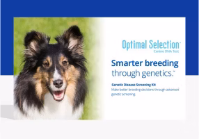 Optimal selection
