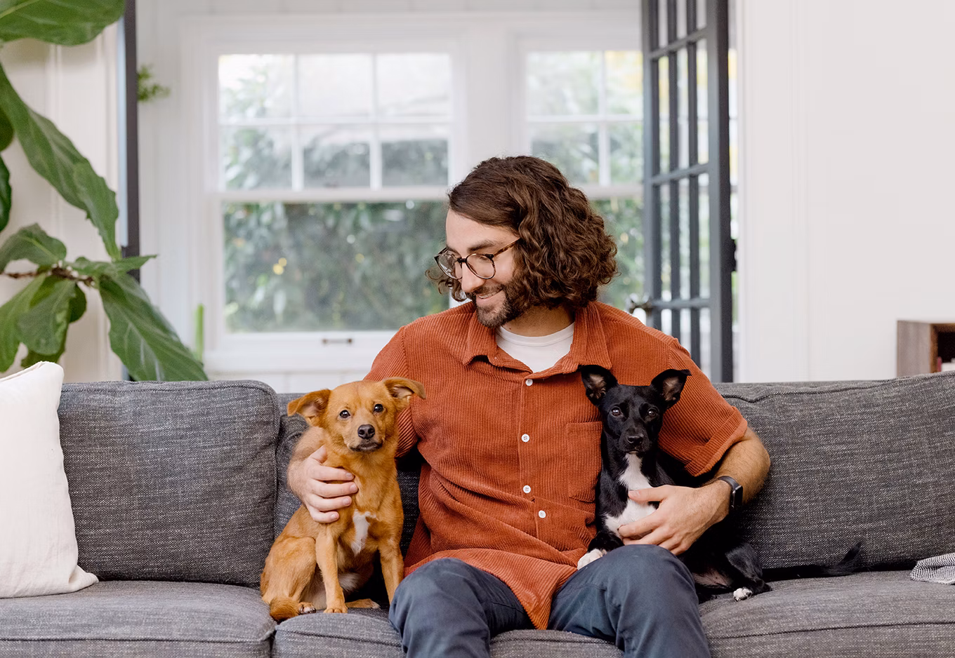 A man cuddling two small dogs
